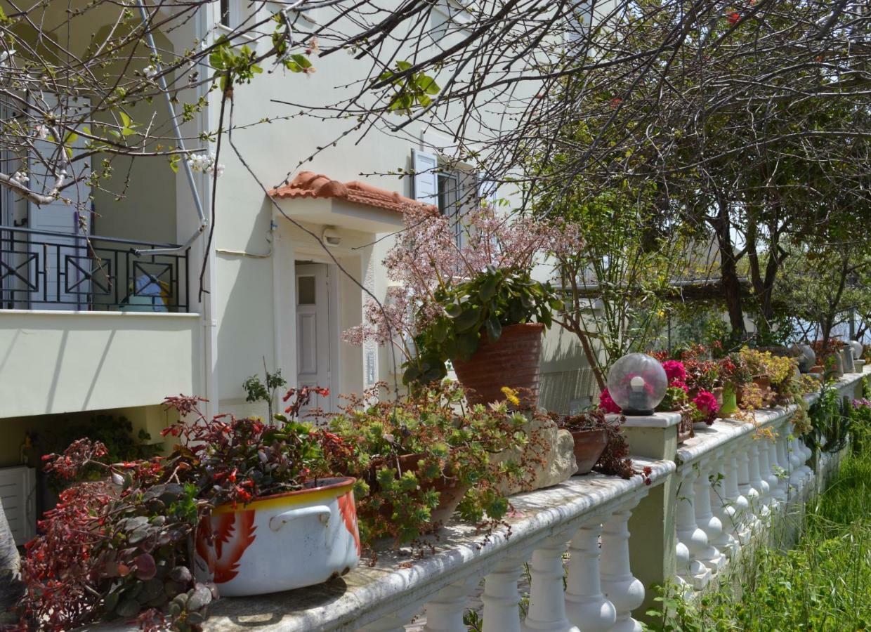 Araucaria Home Lixúri Exterior foto